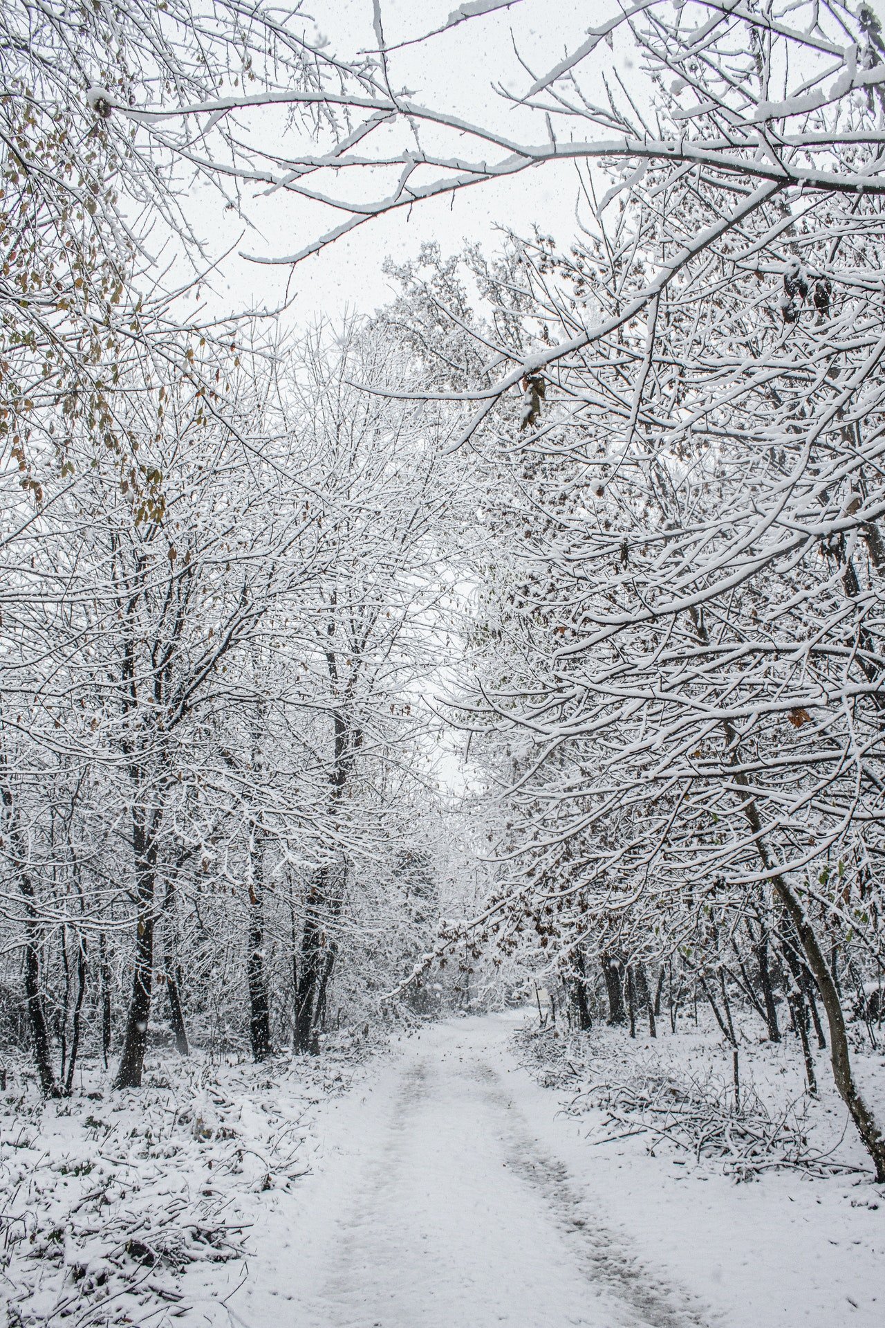 matrimonio_inverno